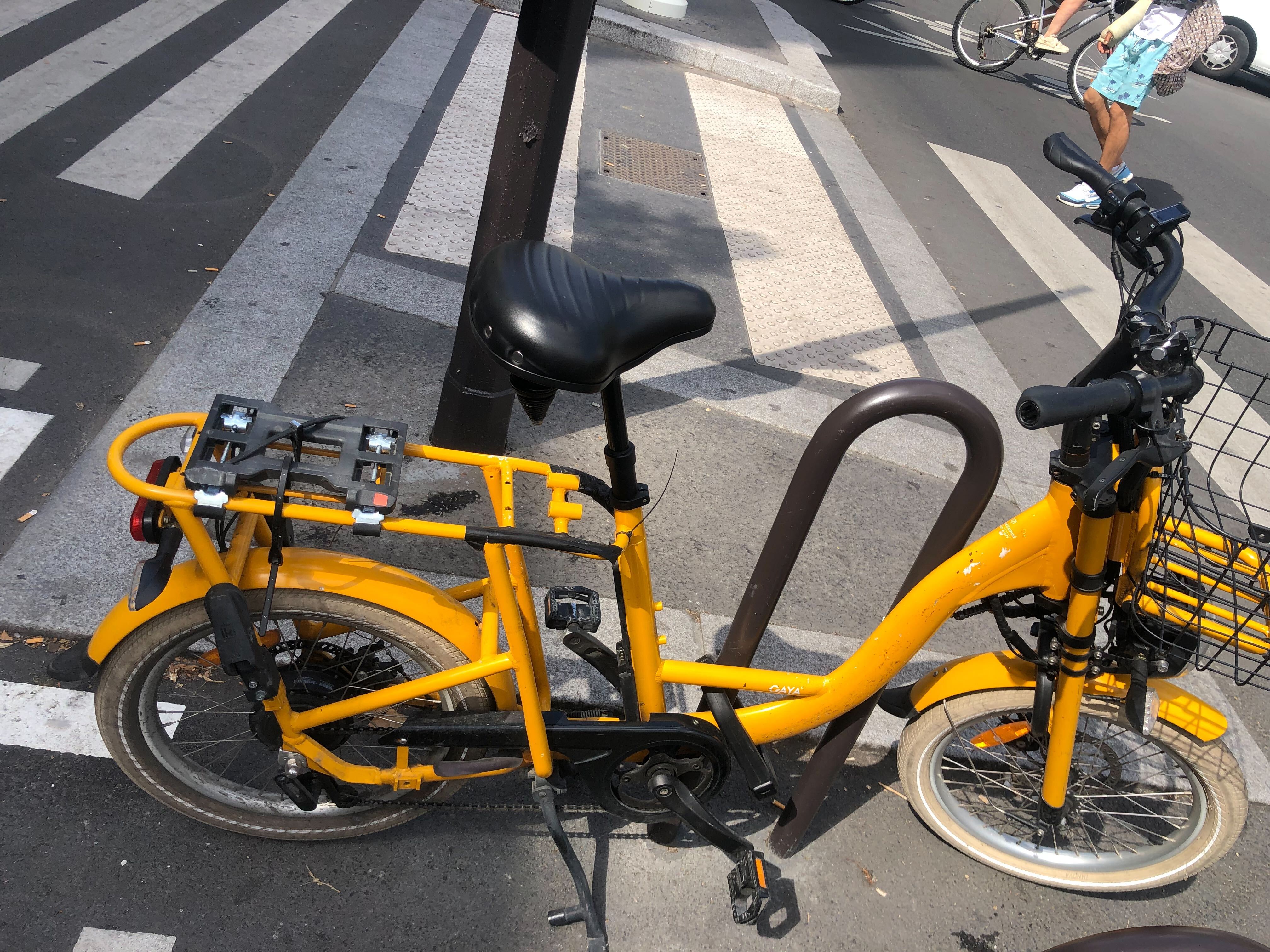 Gaya jaune 2